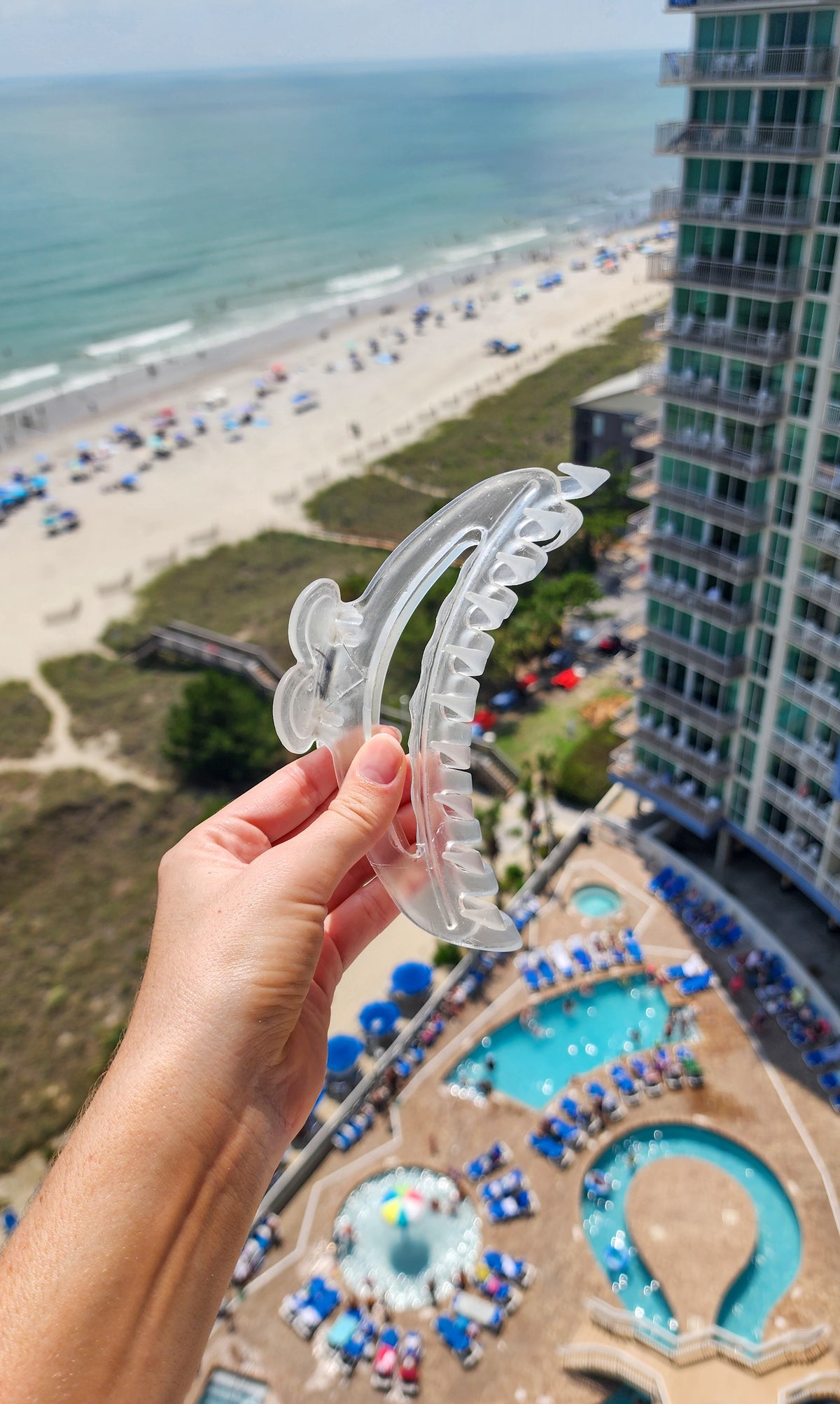 Big *** Hair Clip