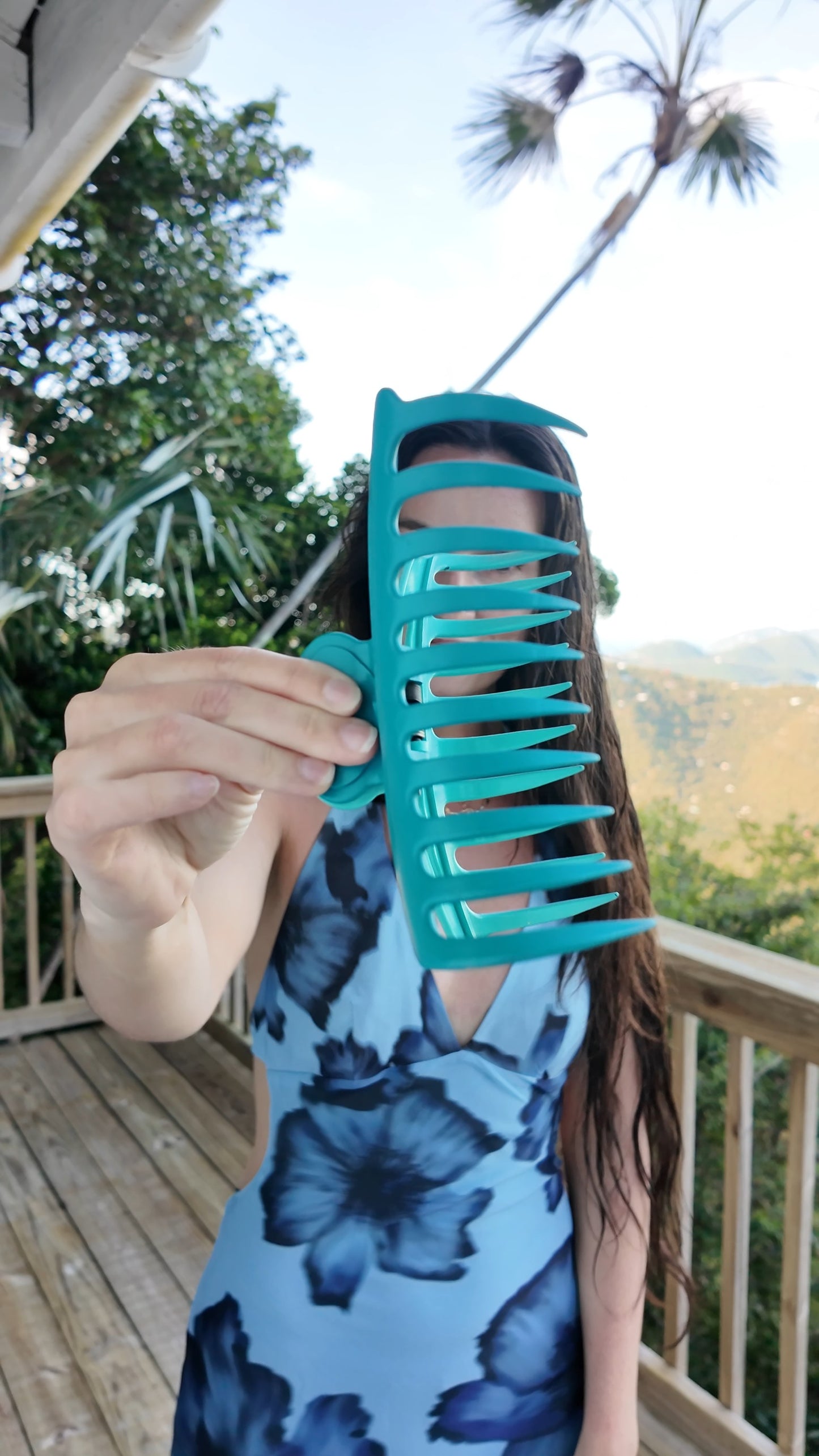Big *** Hair Clip