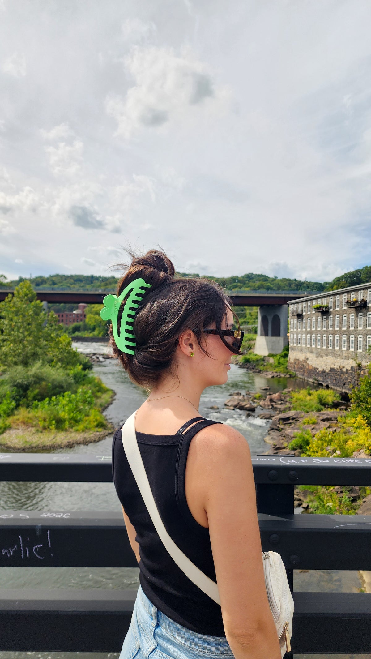 Big *** Hair Clip